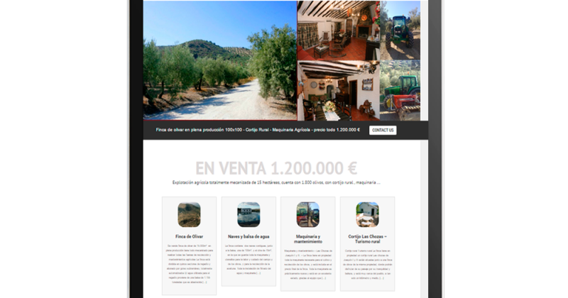 Finca olivar Las Chozas.com